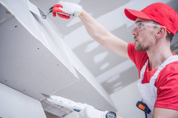 Best Attic Mold Removal  in Beaufort, SC